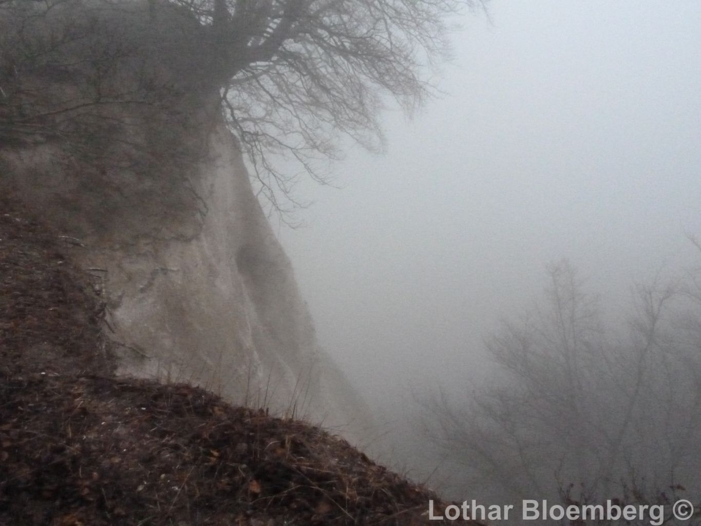 Bild 14