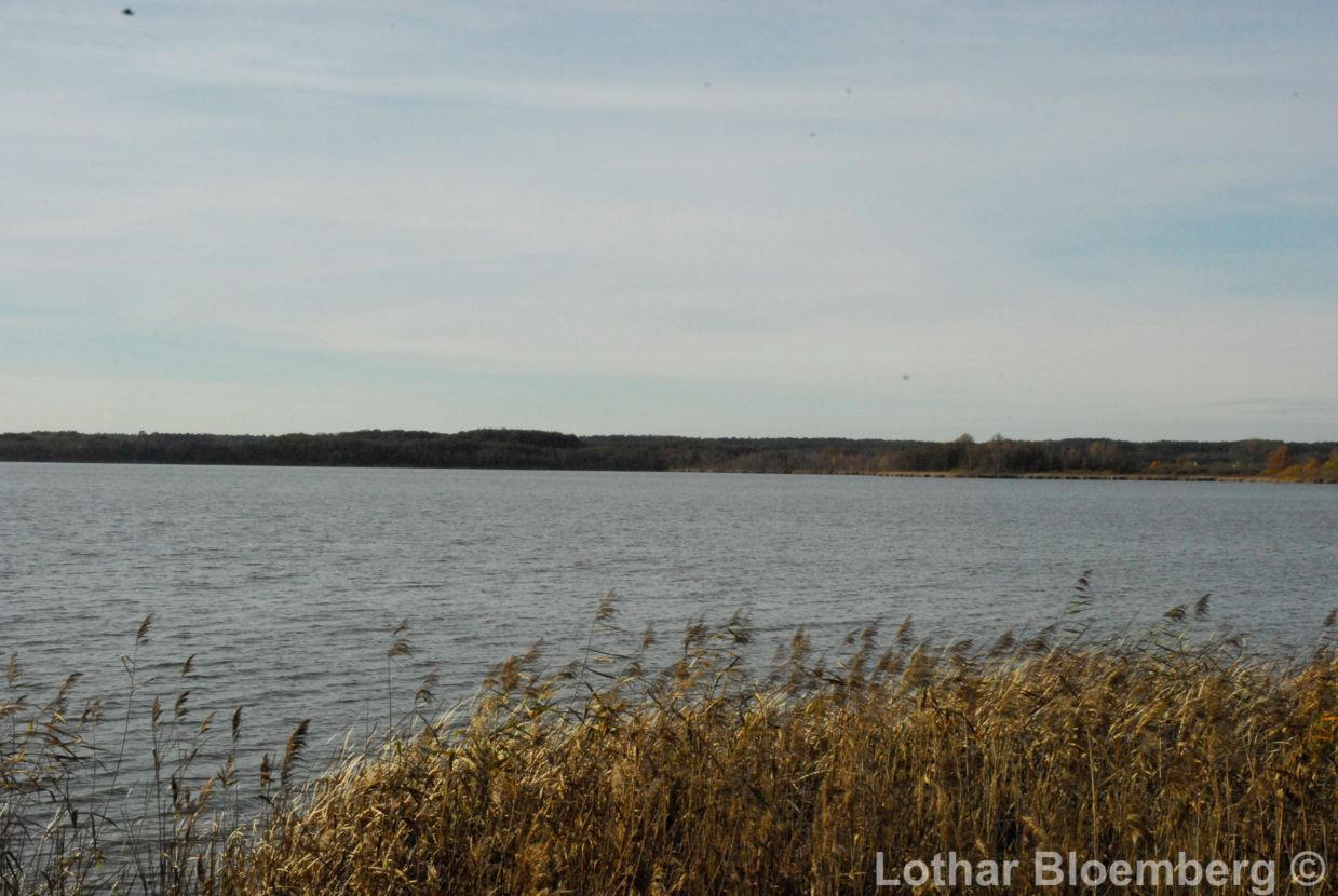 Bild 19