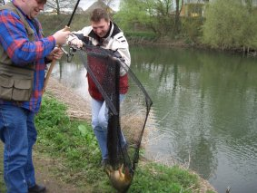Karpfen aus der Lippe