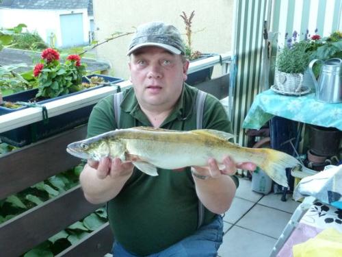 Zander aus dem Dattel-Hamm-Kanal