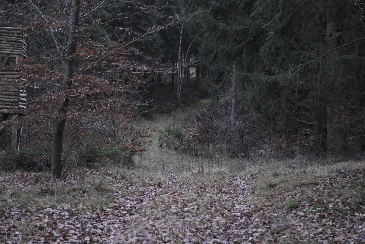 Informationstafel Die Kalkhorst