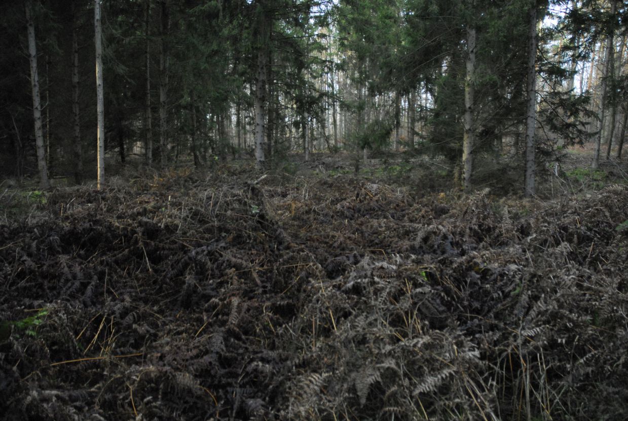 Informationstafel Die Kalkhorst