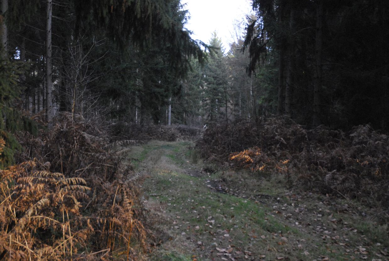 Informationstafel Die Kalkhorst