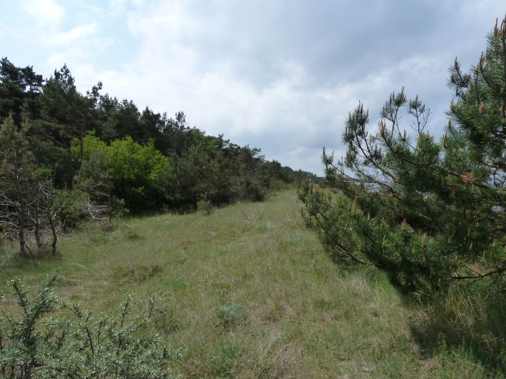 Naturschutzgebiet Bug