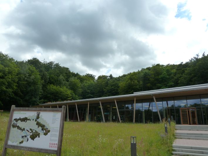 Baumwipfel Pfad