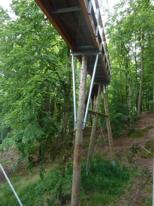 Baumwipfel Pfad