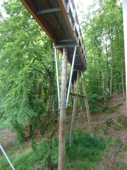 Baumwipfel Pfad
