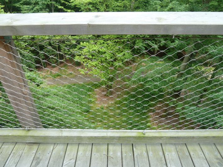 Baumwipfel Pfad