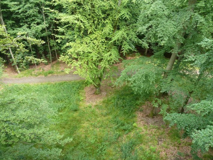 Baumwipfel Pfad