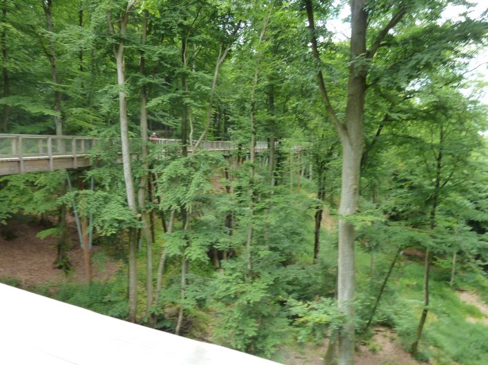 Baumwipfel Pfad