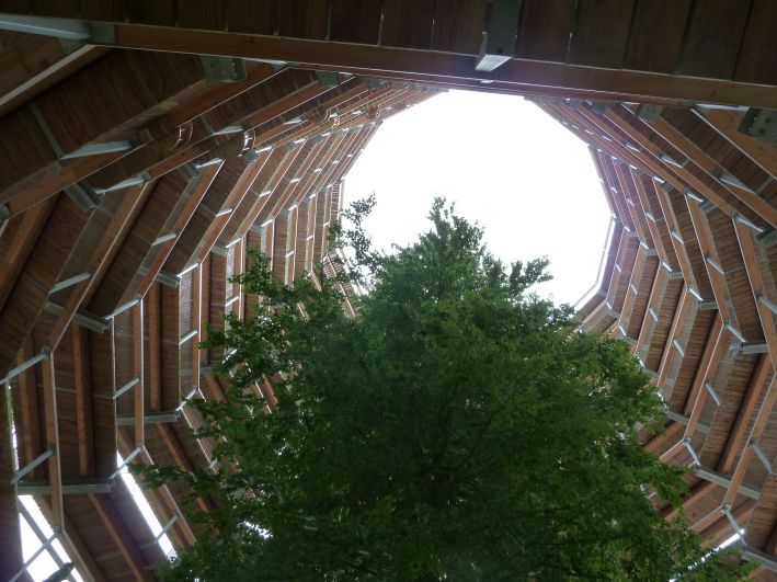 Baumwipfel Pfad