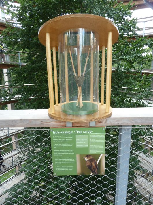 Baumwipfel Pfad