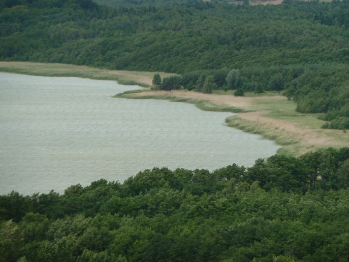 Baumwipfel Pfad