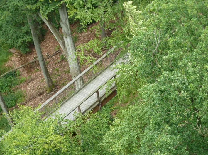 Baumwipfel Pfad