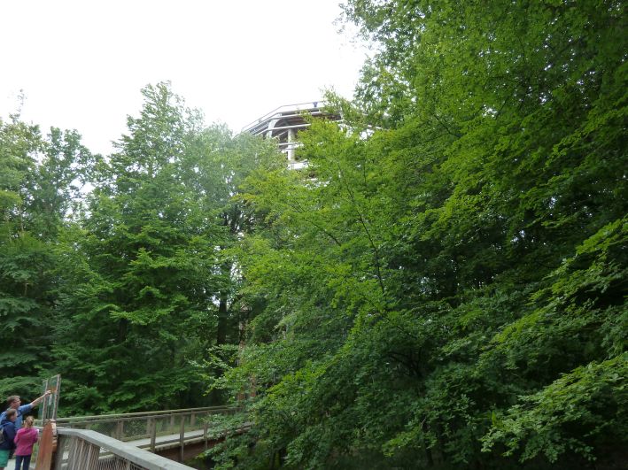 Baumwipfel Pfad