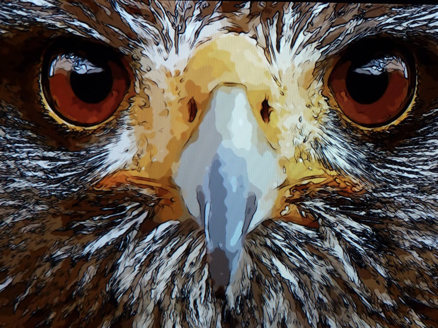 Baumwipfel Pfad