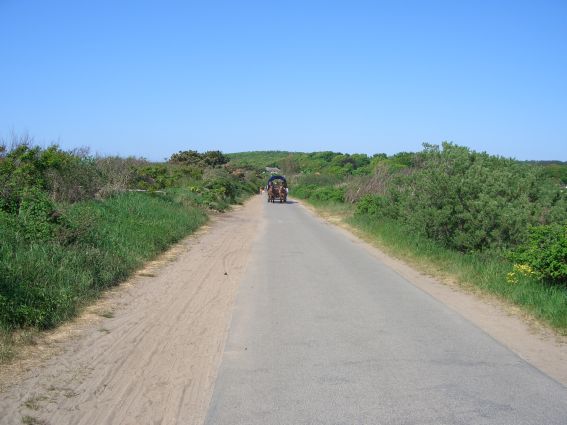 Hiddensee