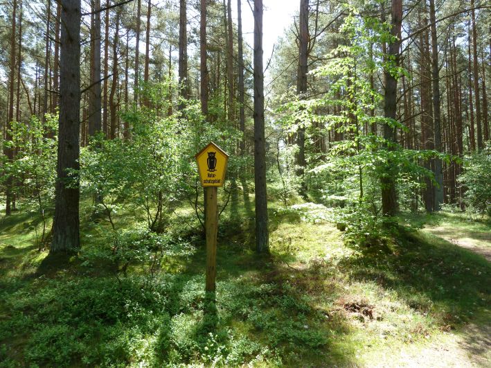 Schaabe Naturschutzgebiet