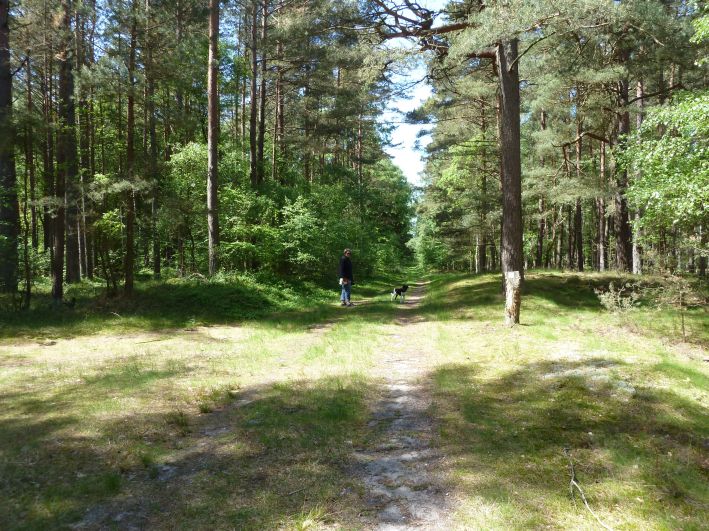 Schaabe Naturschutzgebiet