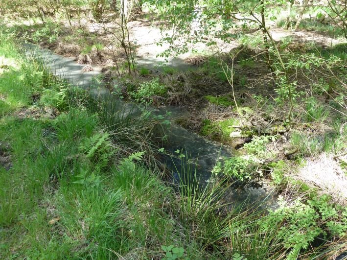 Schaabe Naturschutzgebiet