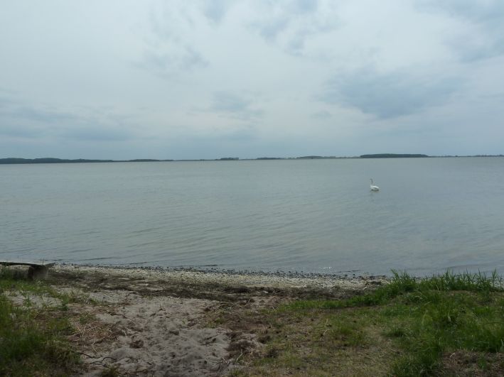 Schaabe Naturschutzgebiet