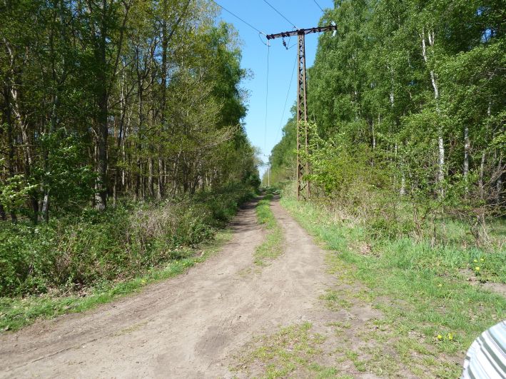 Radwegkreuzung hinter Trend