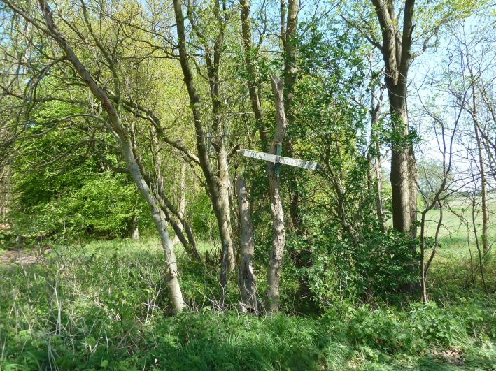 Radwegkreuzung hinter Trend