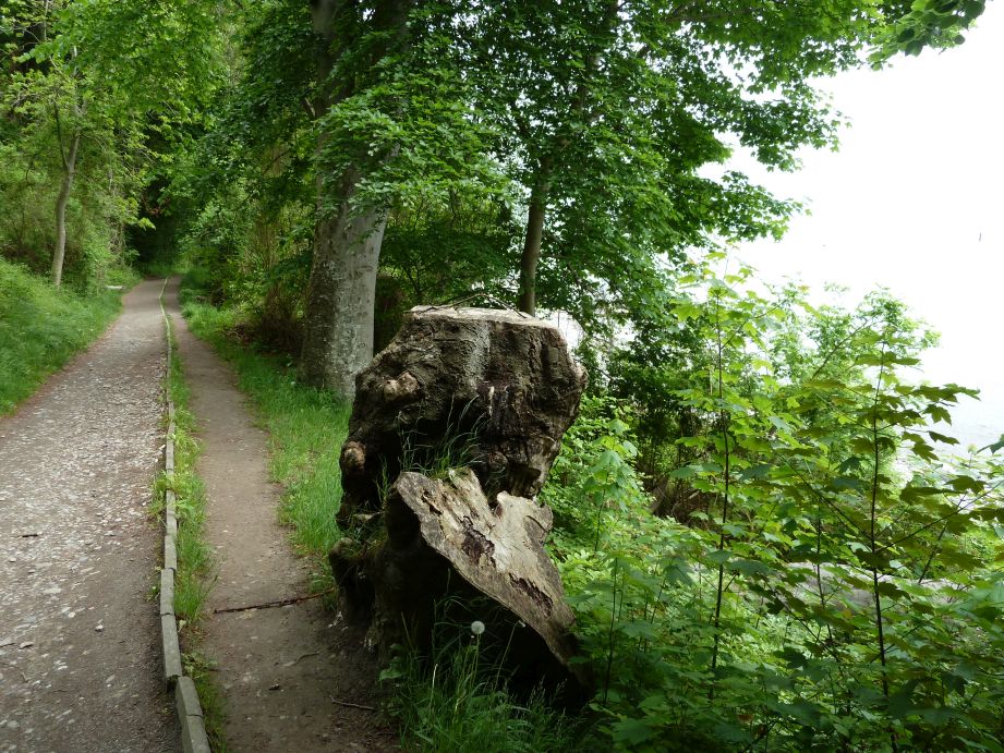 Tour Sassnitz