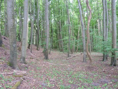 Tour Königsstuhl