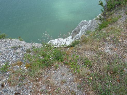 Tour Königsstuhl