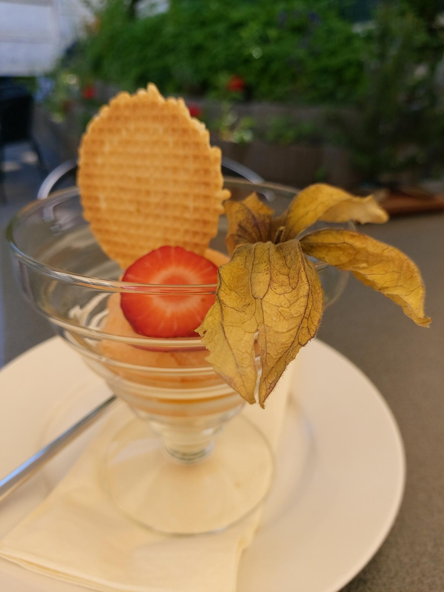 Sorbet Orange