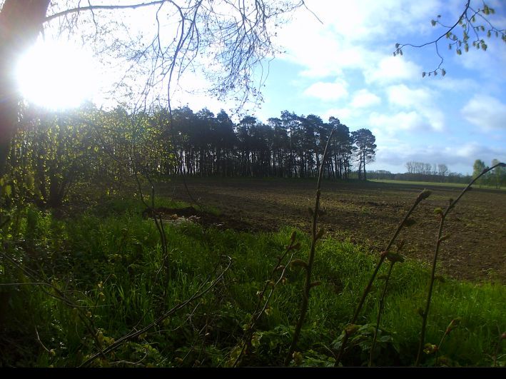Wendland Bild
