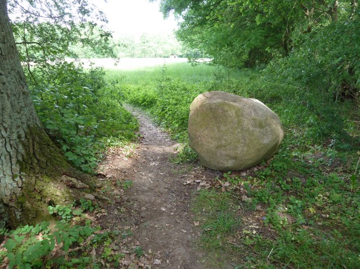 Wendland Bild