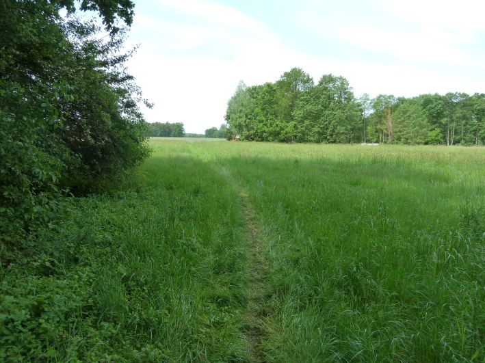 Wendland Bild